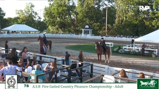 RC24 - Class 78 - ASB Five Gaited Cou...