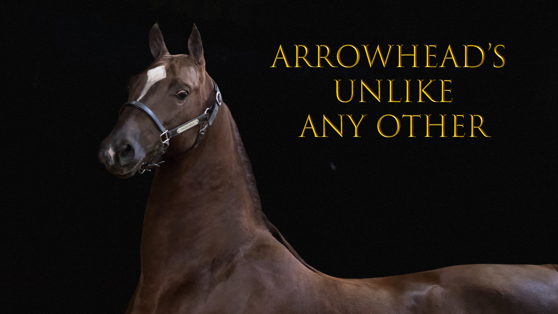 2018 Arrowhead's Unlike Any Other Presentation