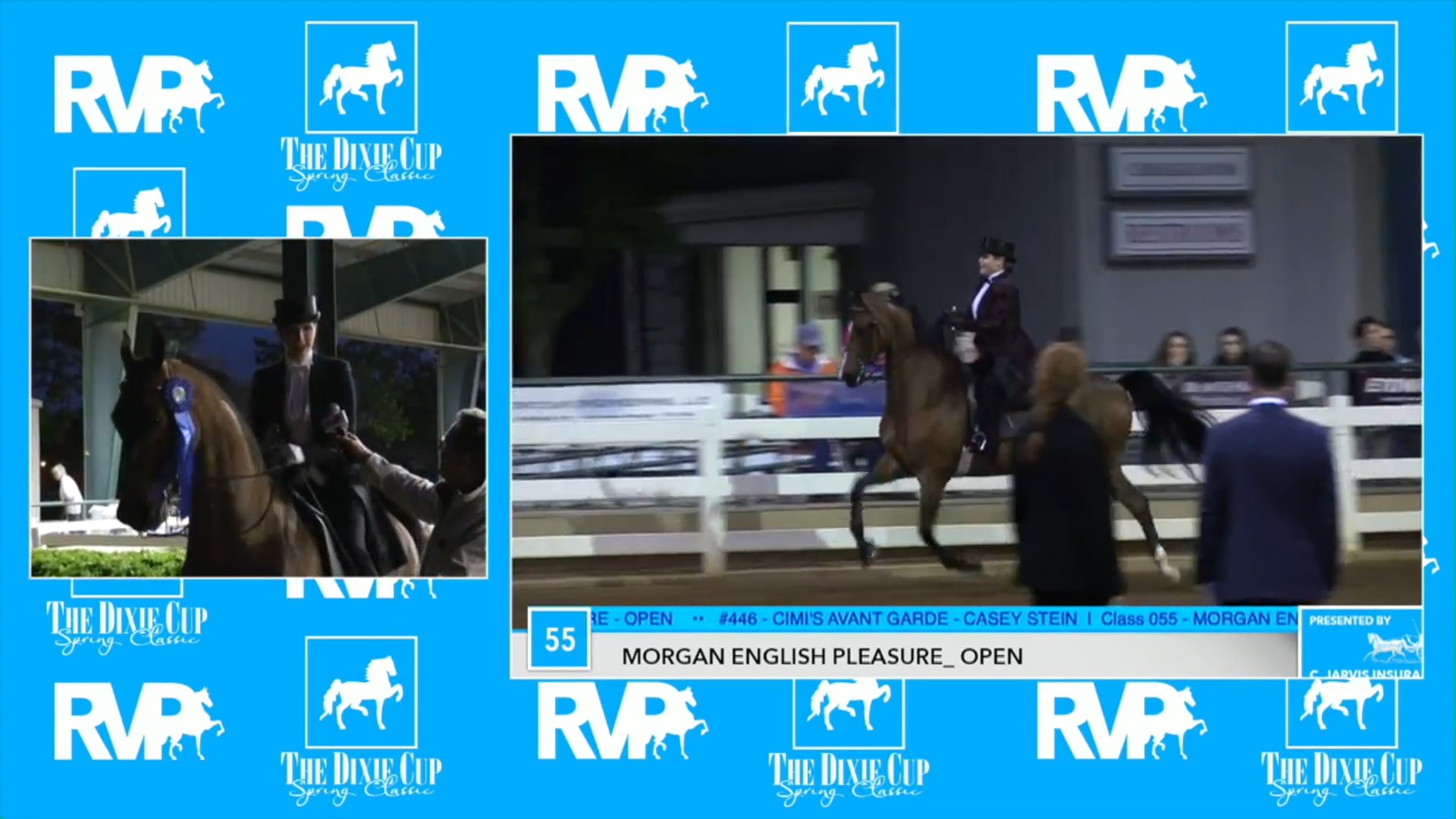 DC17 - Oh Night Divine - USEF Adult Saddleseat Medal 