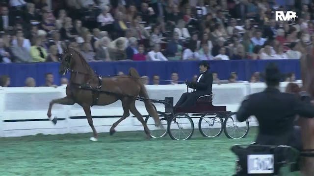 2011 WCHS Class 234 Fine Harness Cham...