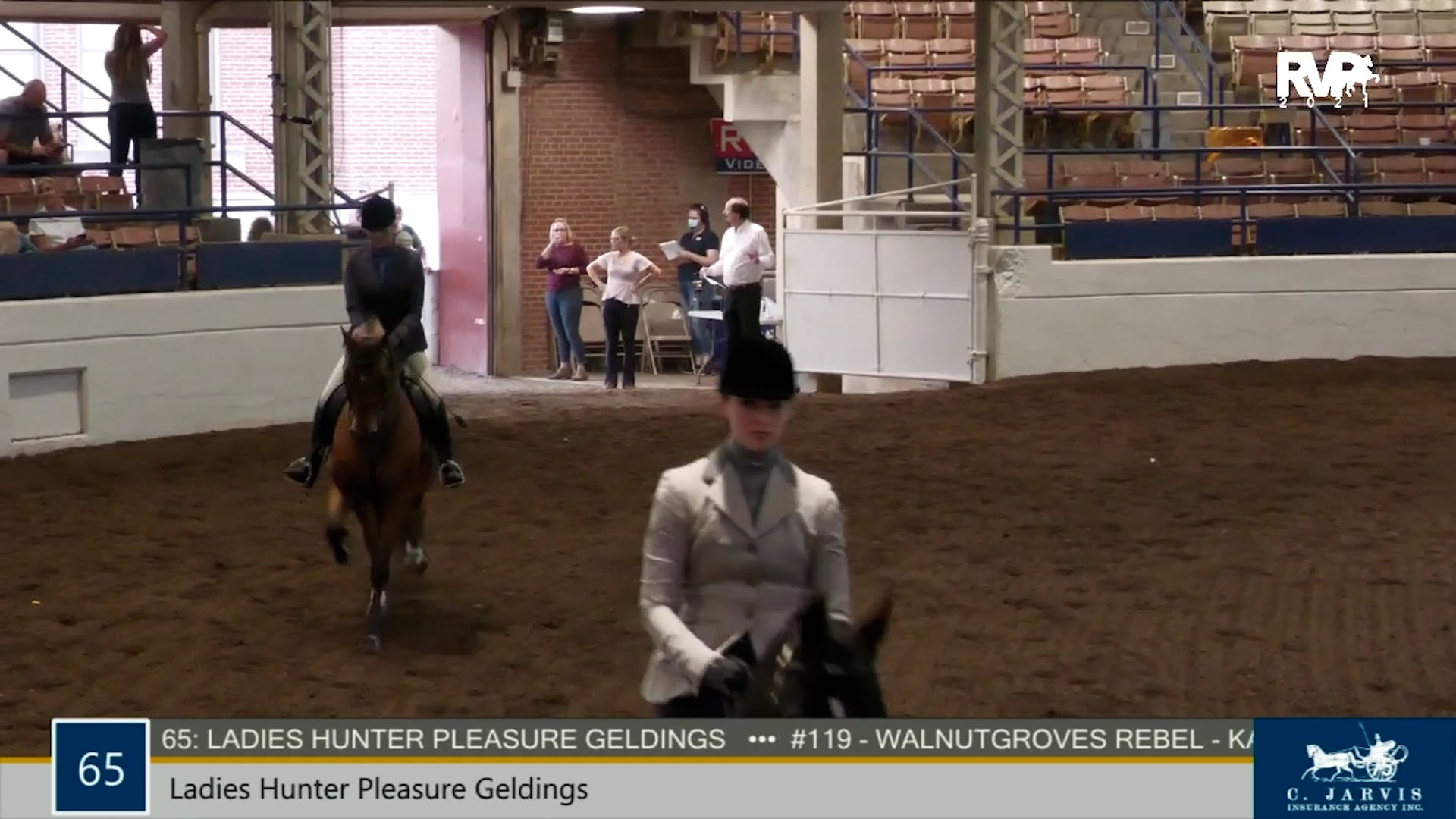 MJ21 - Class 65 - Ladies Hunter Pleasure Geldings