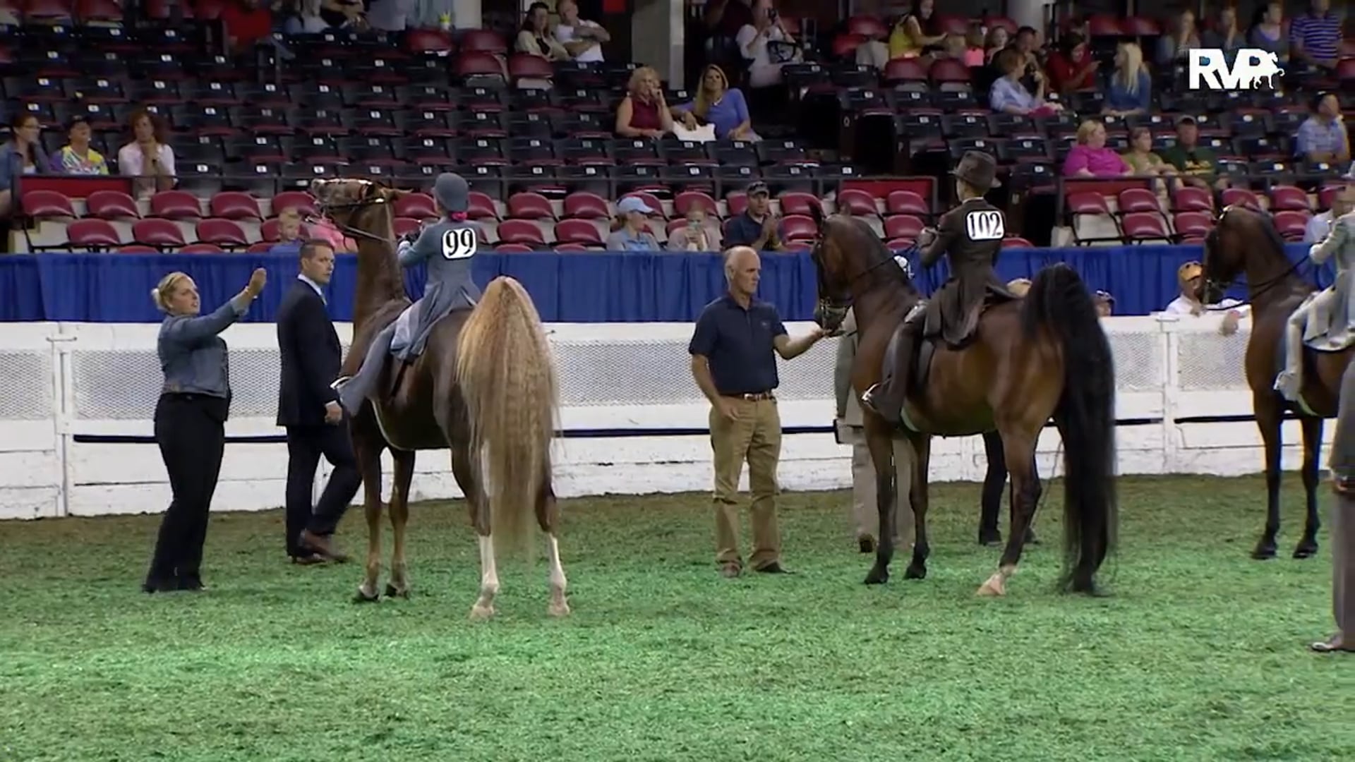 WCHS15 - Class 63 - Equitation Open Walk:Trot Riders 10 Years Old