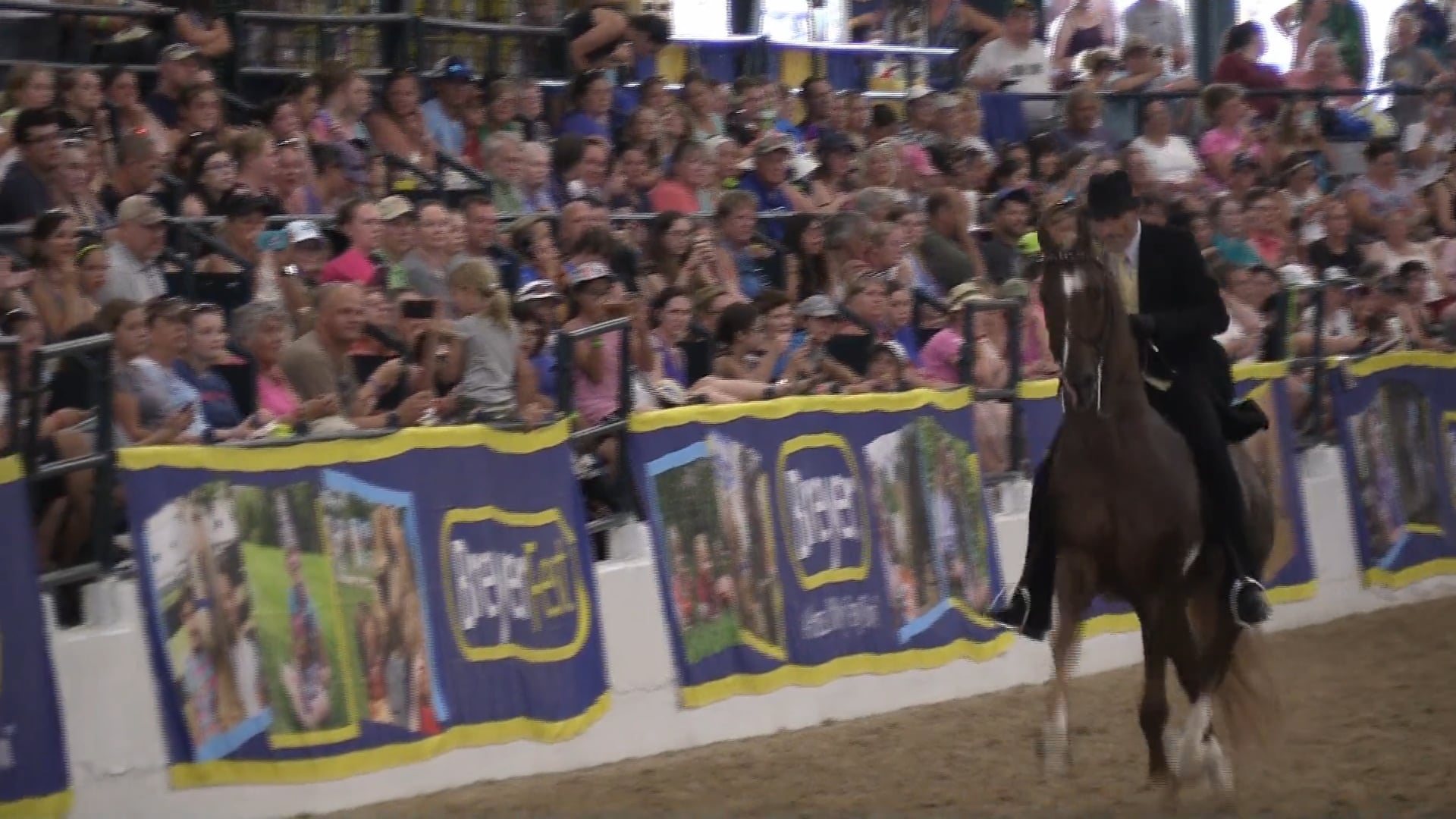 WGC Marc of Charm at BryerfestWGC Marc of Charm at