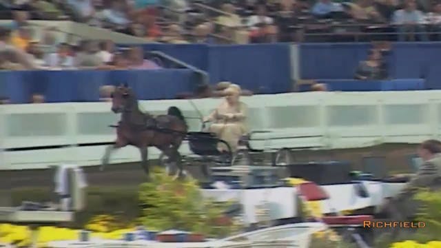 2002 WCHS Class 148 Amateur Hackney P...