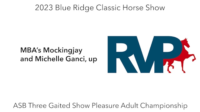 BR23 - Class 221 - MBA’s Mockingjay and Michelle Ganci, up