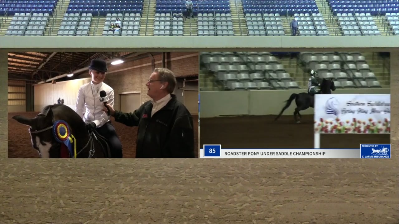 SSSF19 - Class 84 - Romeo's Politician LF Championship