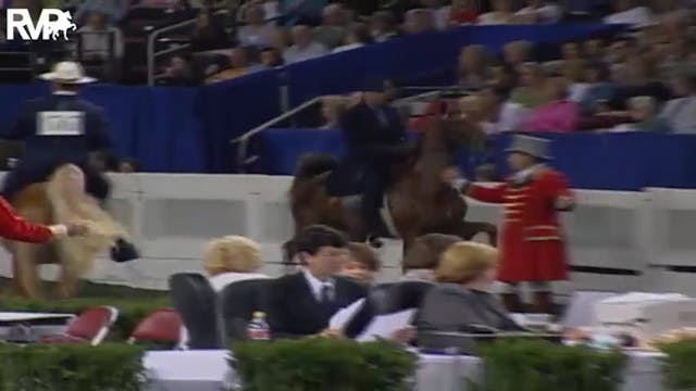 2004 World's Championship Horse Show ...