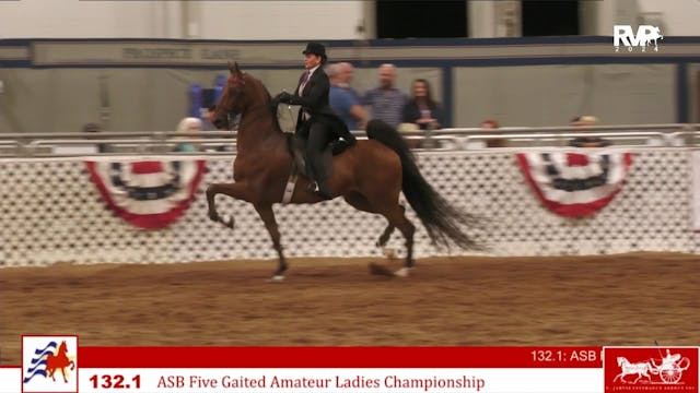 AAC24 - Class 132.1 - ASB Five Gaited...