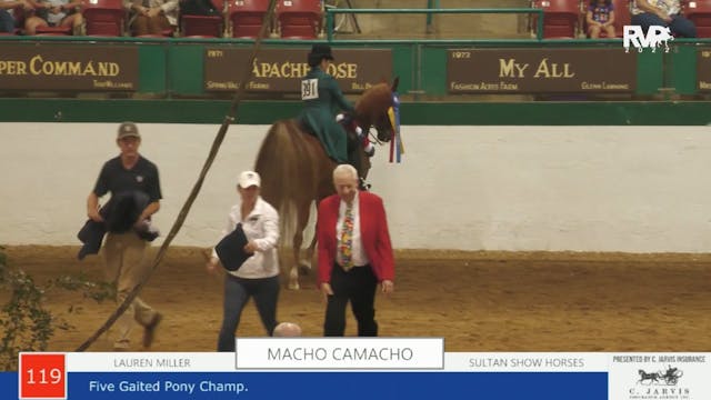 NCSC22 - Class 119 -  Five Gaited Pon...