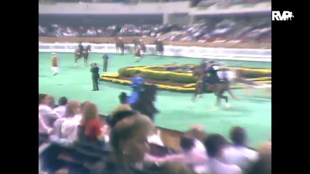1989 WCHS Class 11 Kentucky County Fa...