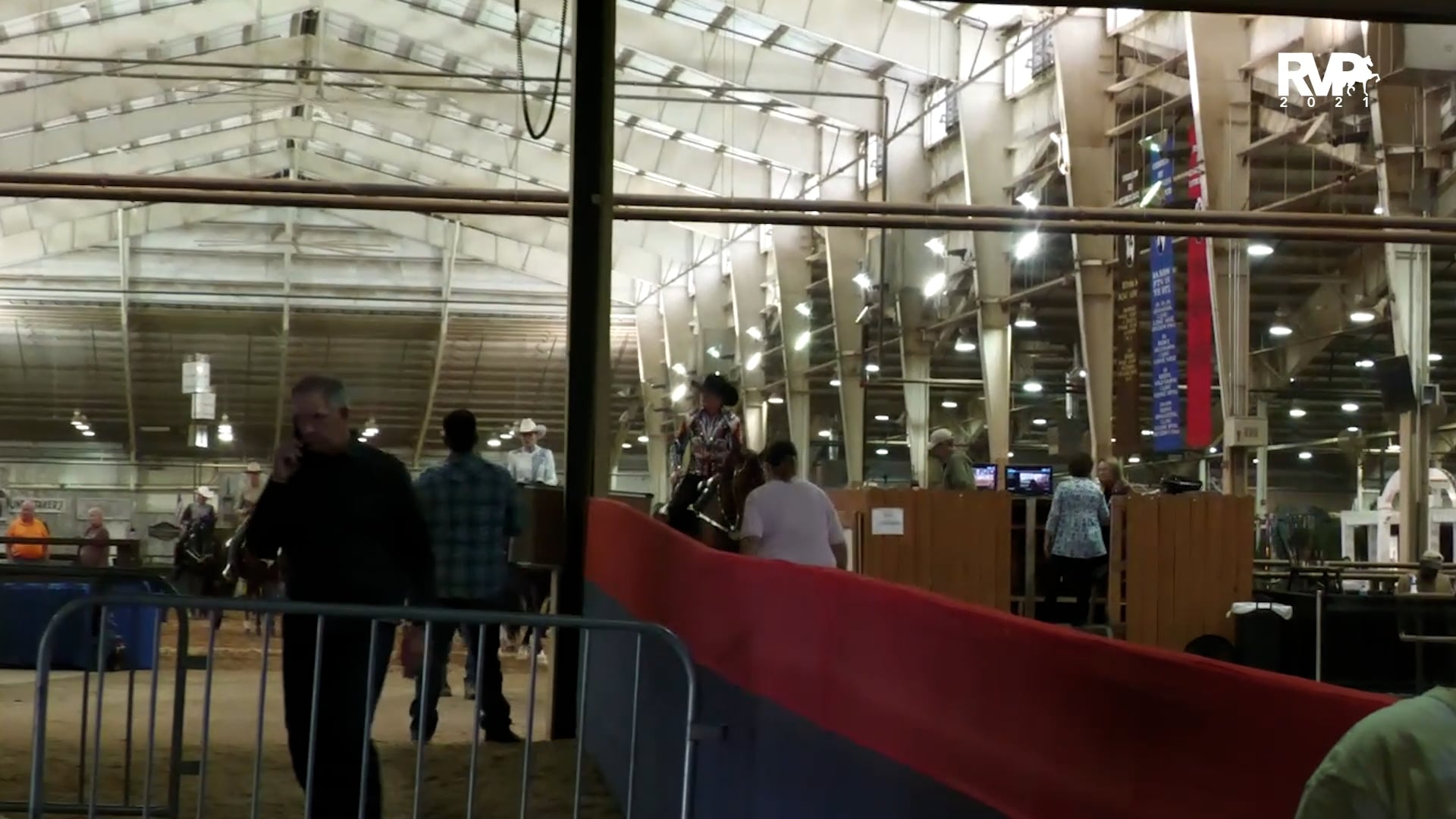 MGN21 - Class 117.2 - GN Western Pleasure Ladies Gelding - Section II