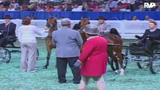 2009 World's Championship Horse Show ...