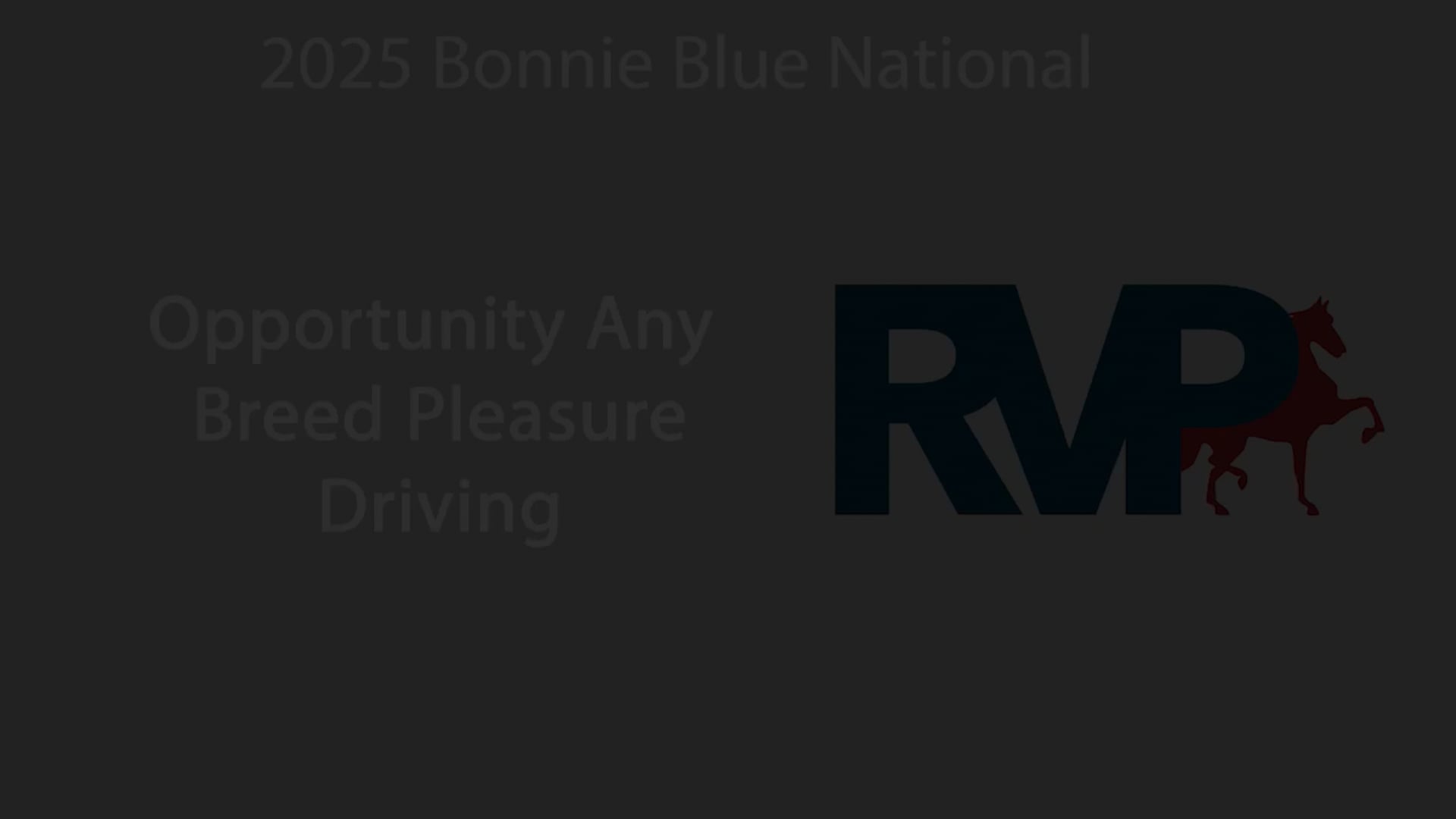 BB25 - Class 30 - Opportunity Any  Breed Pleasure Driving