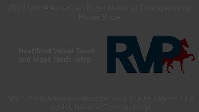 AR23 - Class 175 - Heartland Velvet T...