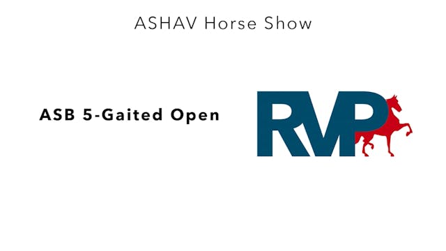 ASHAV23- Class 17- ASB 5-Gaited Open