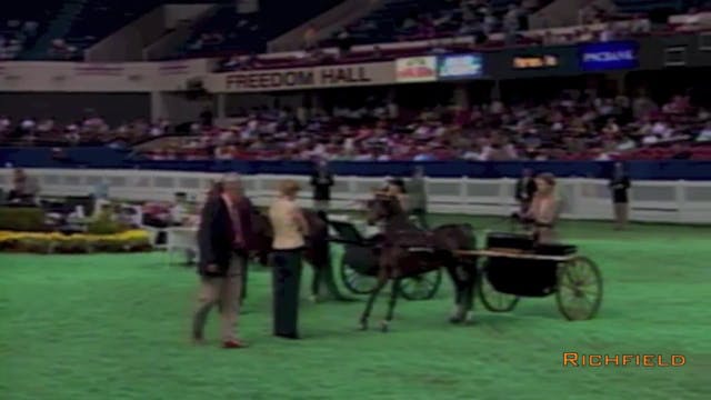 2001 WCHS - Class 34 - Amateur Junior...