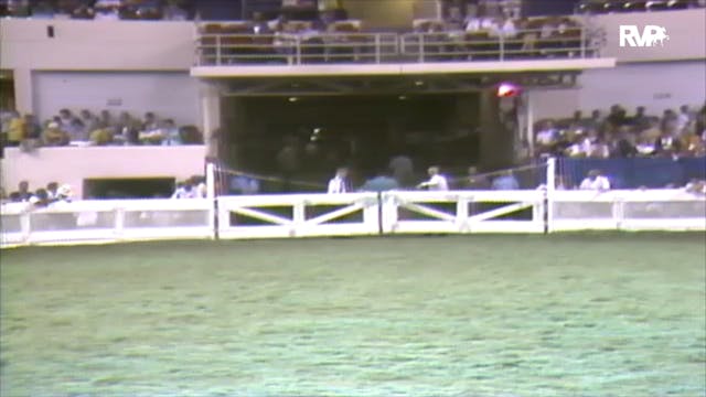 1991 WCHS American Road Horse and Pon...