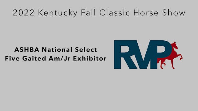 KYFC22 - Class 39 - Roadster Pony Ama...