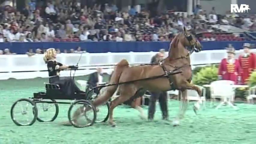 2010 World's Championship Horse Show Class 57  Ladies Fine Harness