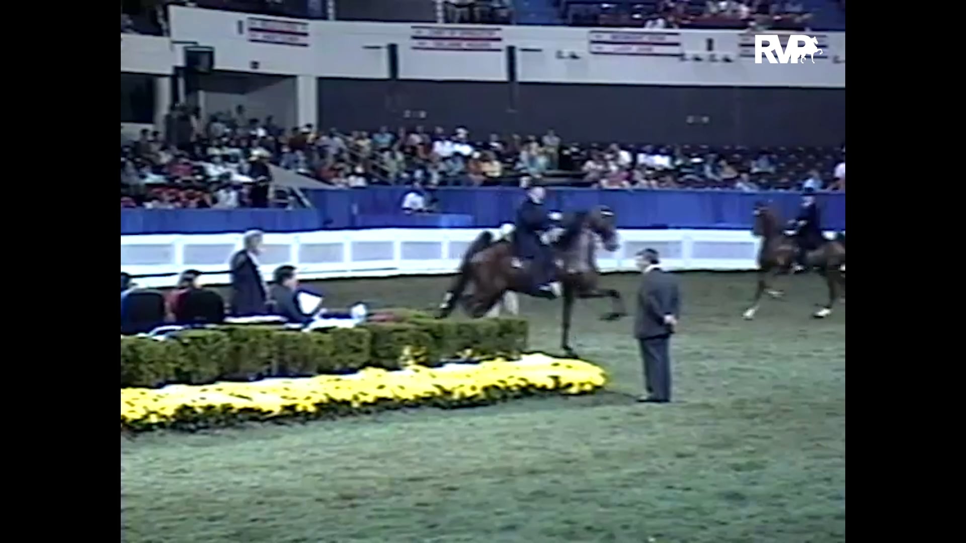 2003 WCHS - Class 222 Three Gaited Park Open Championship - HMS Royal Winds and Amanda Bell, up