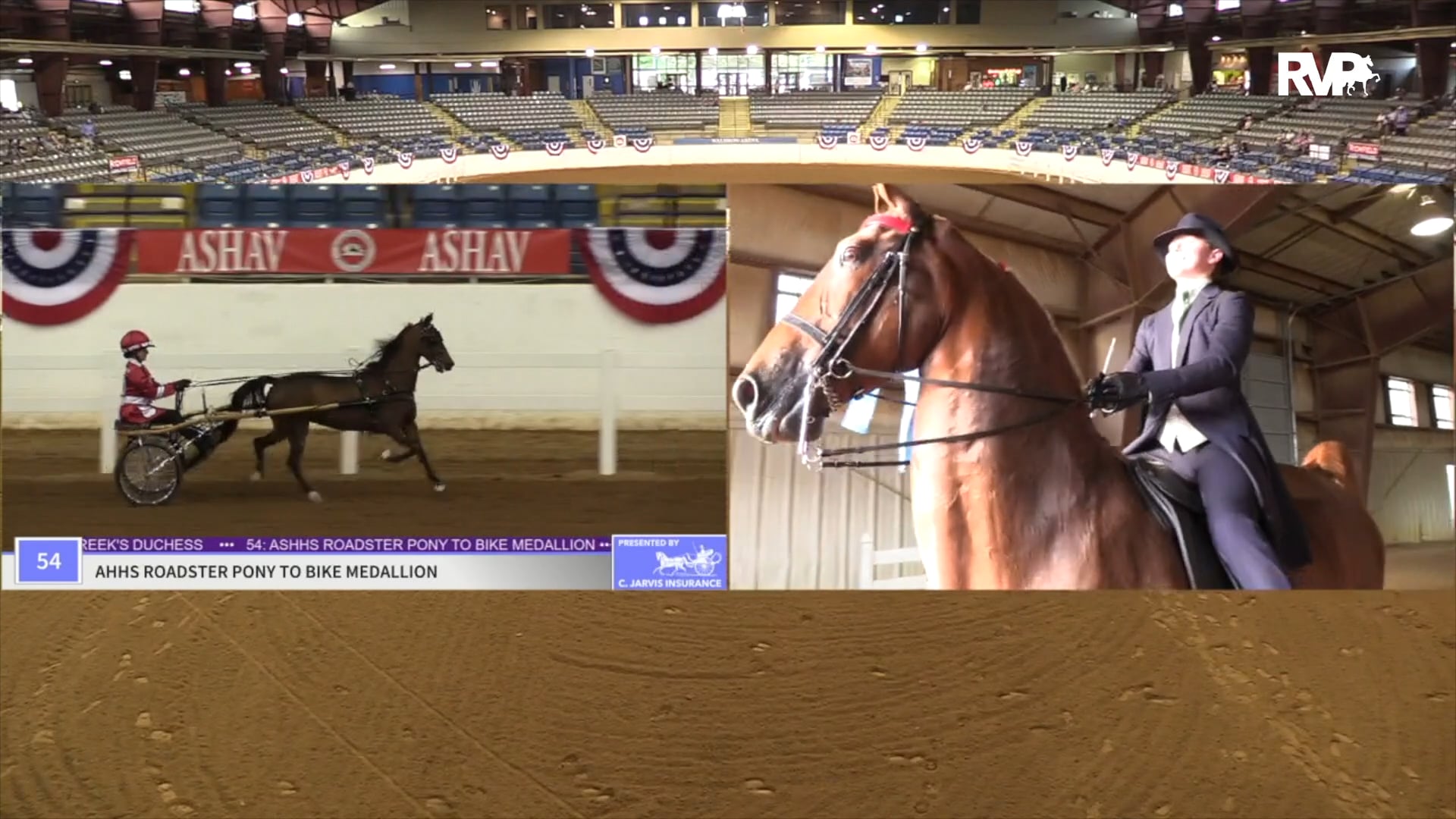 ASHAV19 - Class 55 - Patrick McMurtrie, up