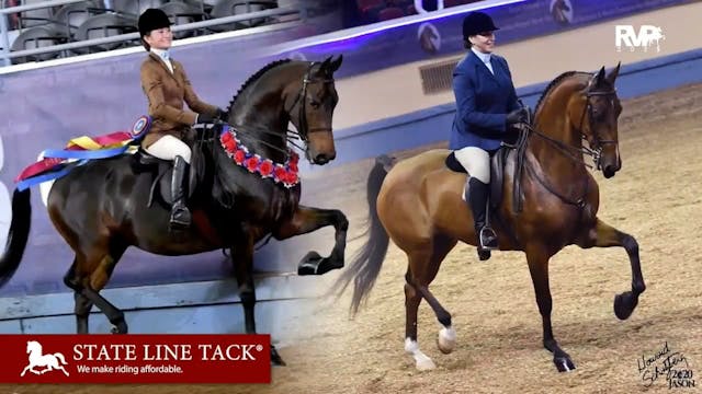 2025 Morgan Grand National - Thursday...