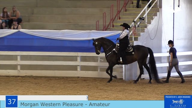 ASF21 - Class 37 - Morgan Western Ple...