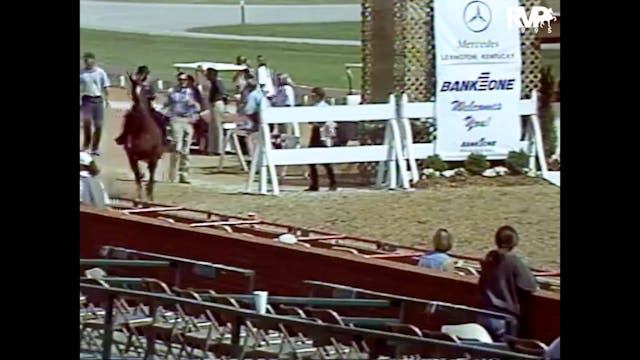 LJL 1995 - Class 51 - UPHA Walk-Trot ...