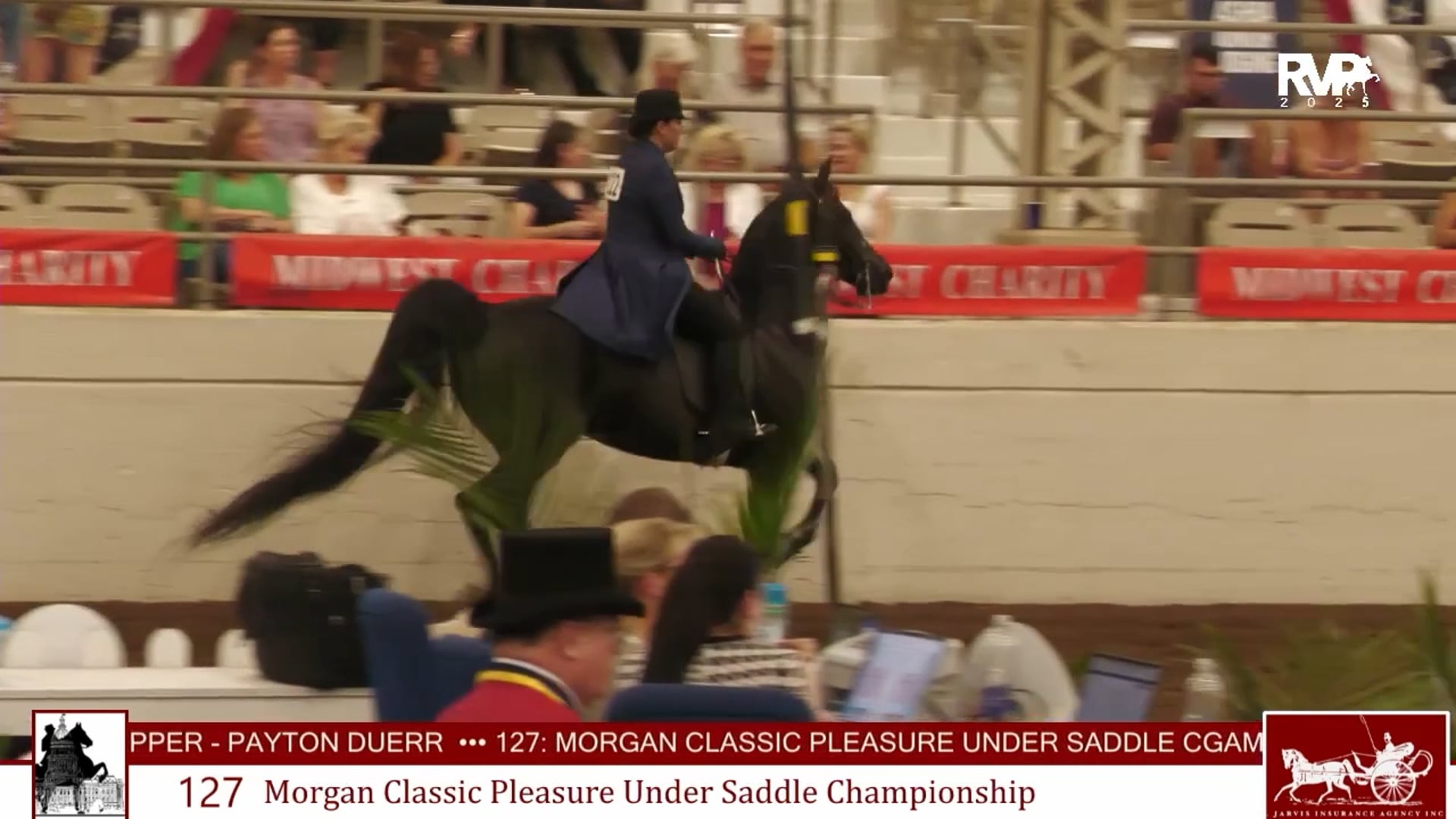 MW25 - Class 127 - Morgan Classic Pleasure Under Saddle Championship