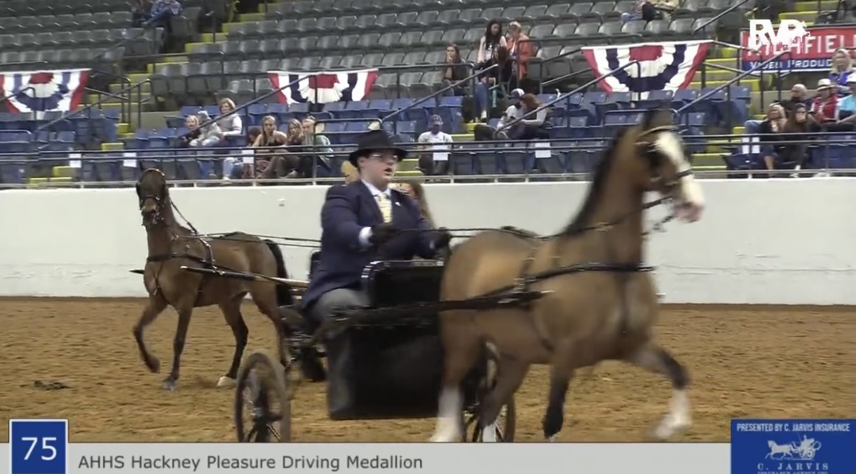 BB21 - Class 75 - AHHS Hackney Pleasure Driving Medallion 