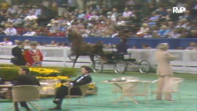1992 WCHS Class 119 ASHA National Thr...