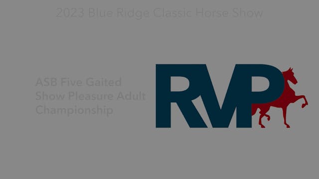 BR23 - Class 207 - ASB Five Gaited Sh...