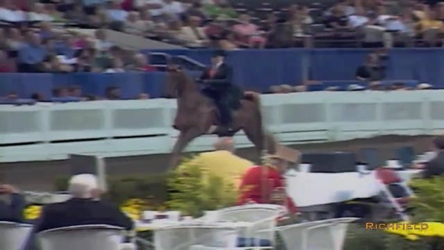 2002 WCHS Class 186 Amateur Five Gait...
