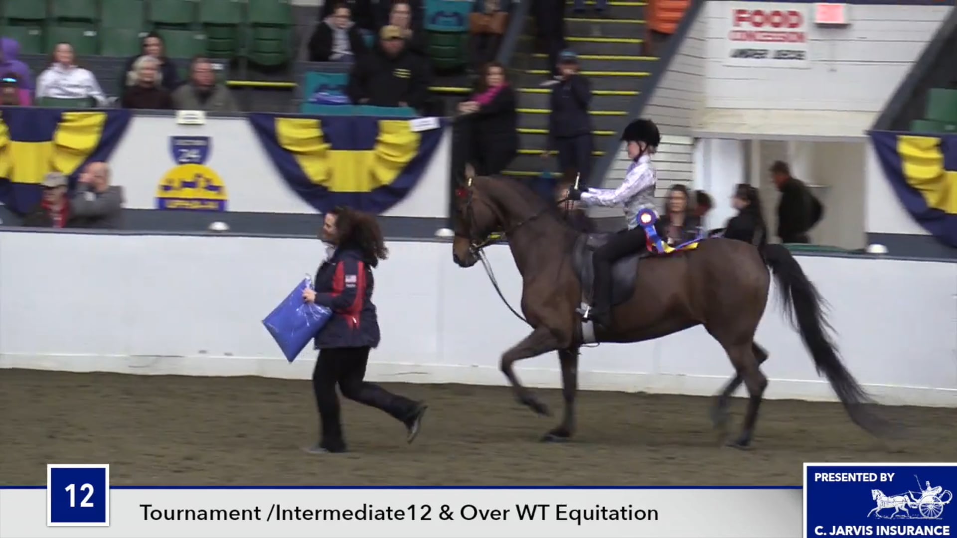 UPHACh14 17 - Carolyn Dreyer - Equitation