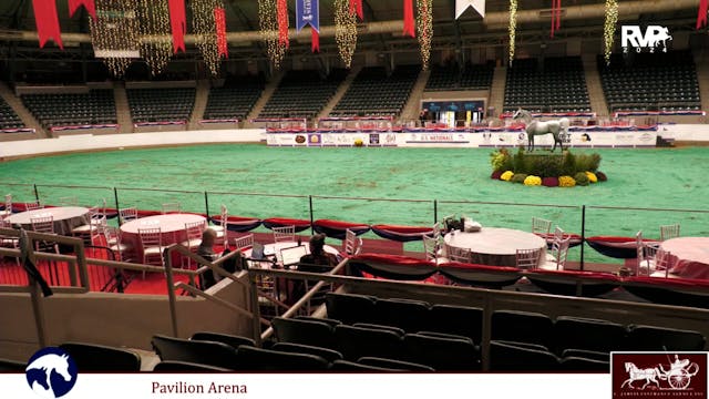 2024 Arabian Nationals - Pavilion - T...