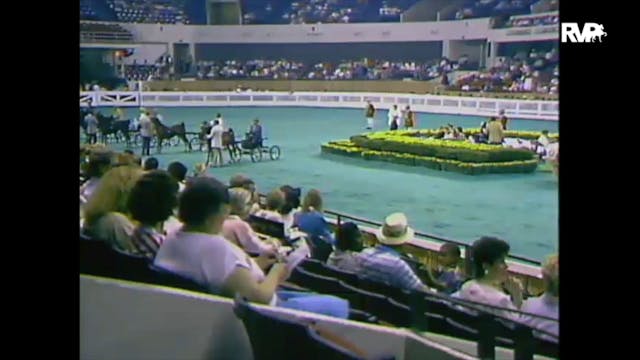 1988 WCHS Class 2 AHHS Futurity 3 Yea...