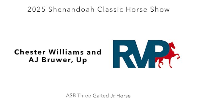 SC25 - Class 47 - Chester Williams an...