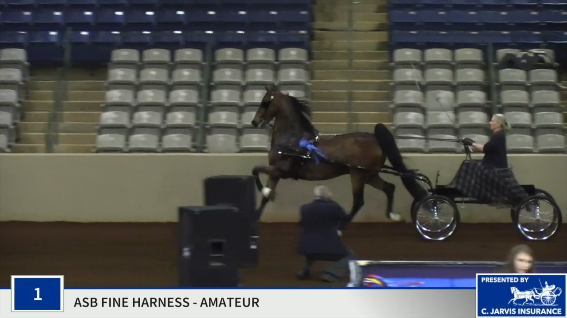 SSSF19 - Class 1 - Fizzy Heir