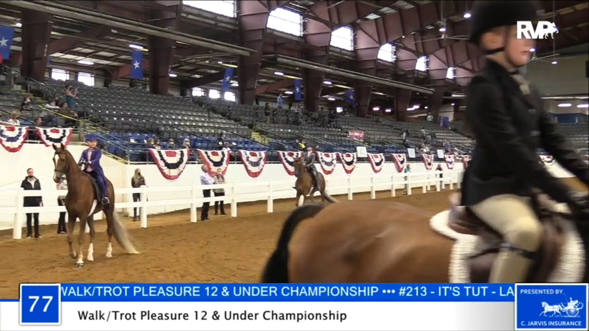 2020 BB - Class 77 Walk:Trot Pleasure 12 & Under
Championship