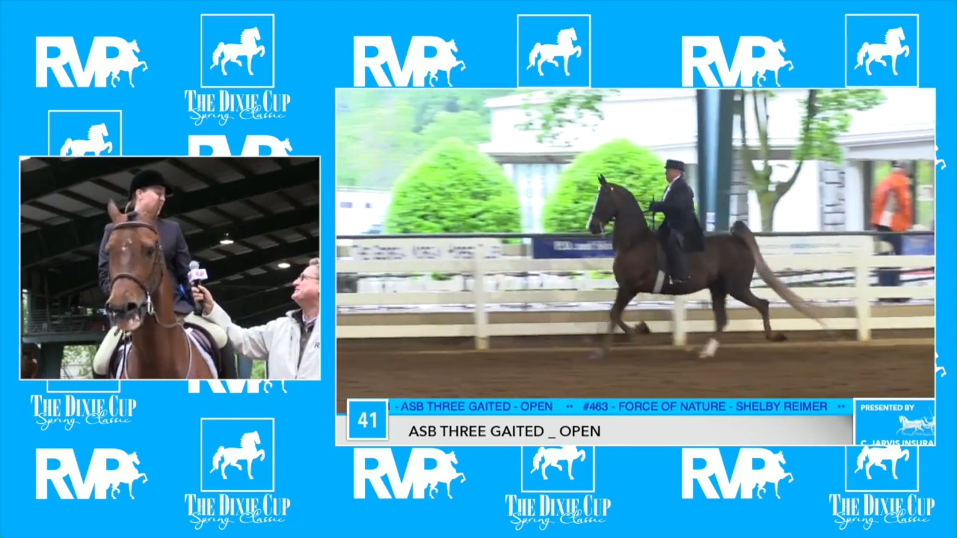 DC17 - KAK Wild Twist - Class 40