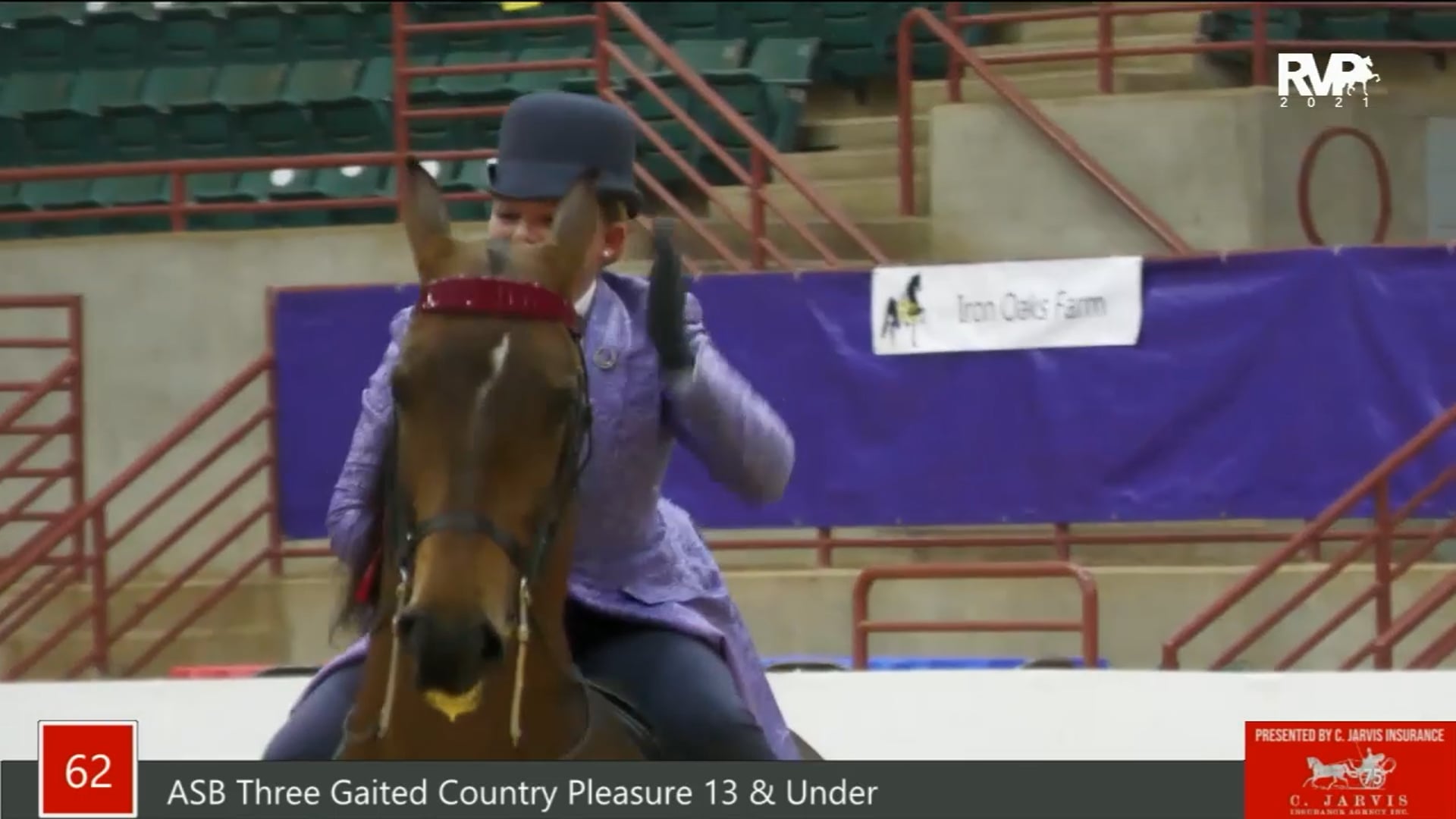 PA21 - Class 62 ASB Three Gaited Country Pleasure, 13 & Under