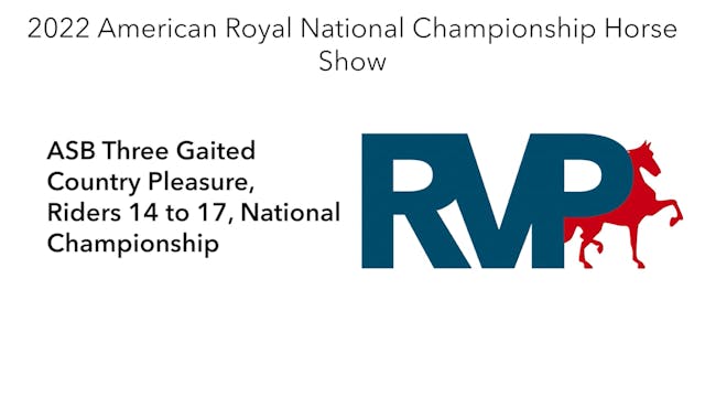 AR22 - Class 138 - ASB Three Gaited C...