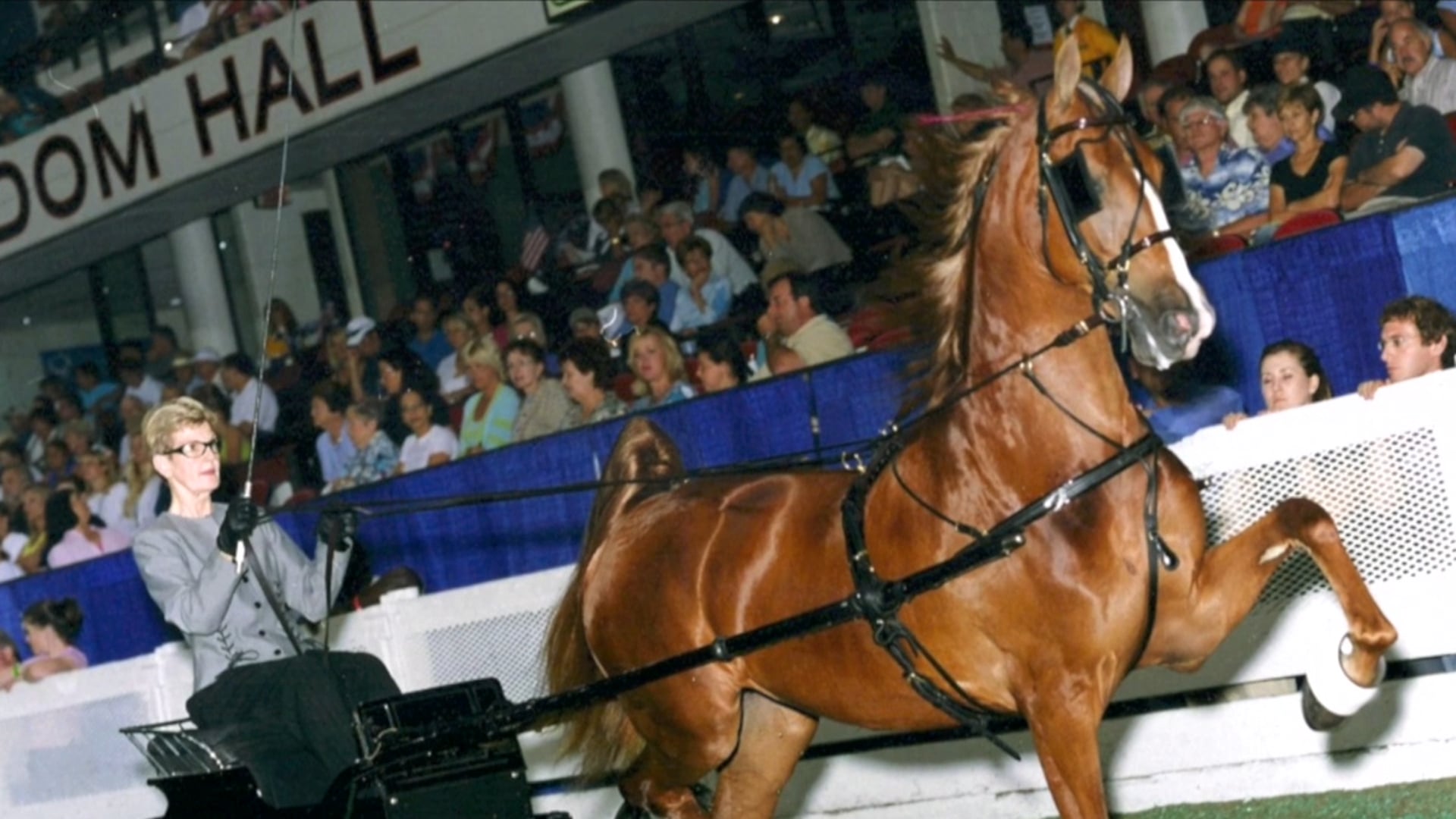 2016 Joan Lurie - ASHA Breeder of the Year