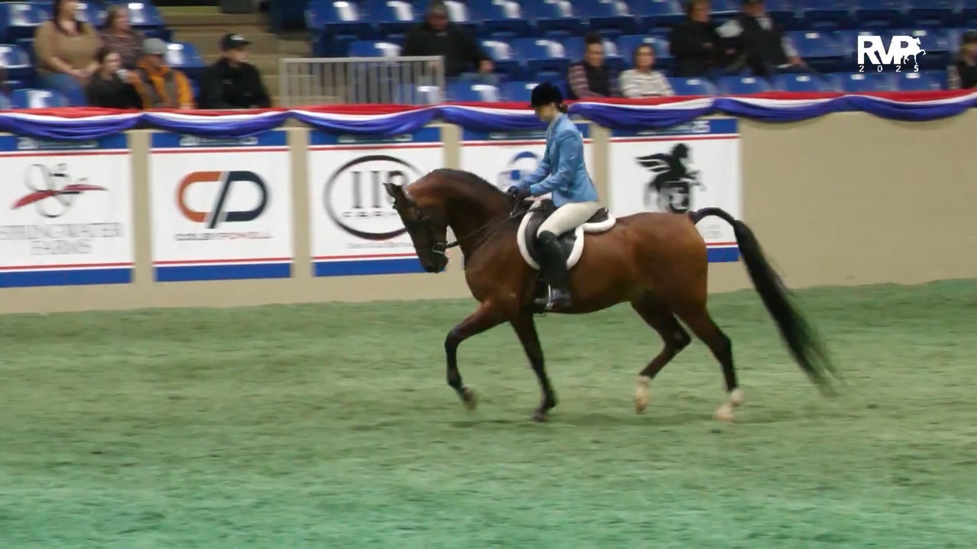 AN25 - Class 2171 - HA-AA Hunter Pleasure AAOTR 19-39 Championship