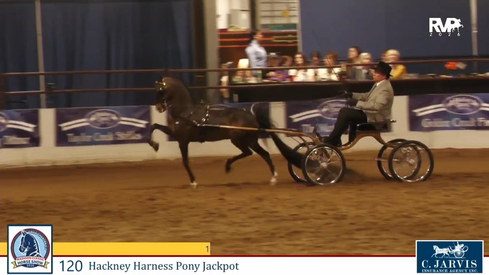 MC26 - Class 120 - Hackney Harness Pony Jackpot