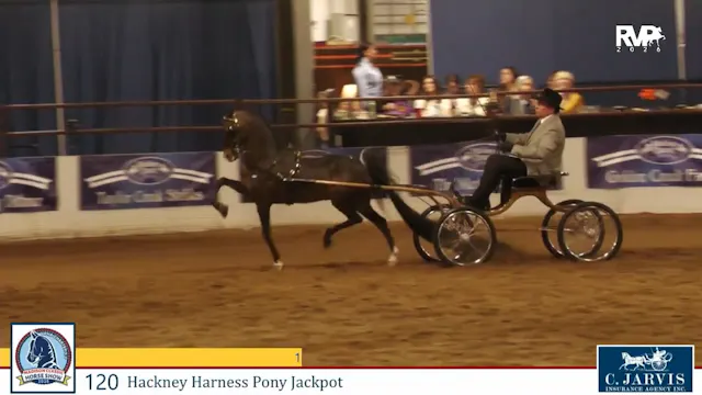MC26 - Class 120 - Hackney Harness Po...