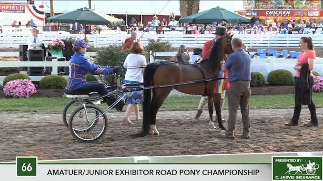 2017 RC - Class 66 Amateur:Junior Exh...