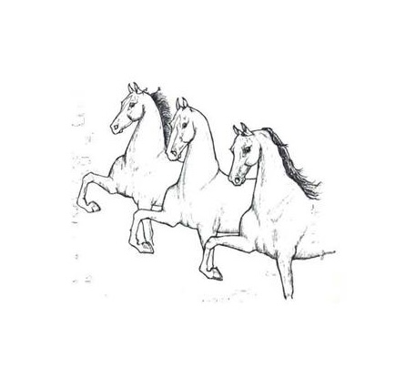 Shelbyville Summer Classic