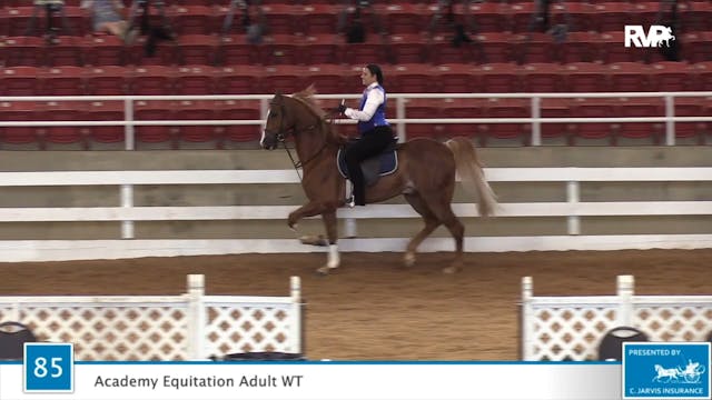 2020 ASF - Class 85 Academy Equitatio...