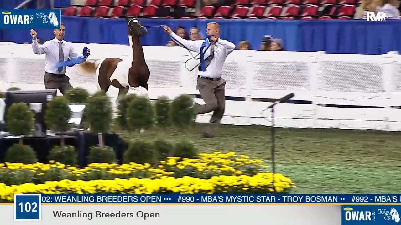 WCHS18 Class 102 - Nutcracker's Spot On